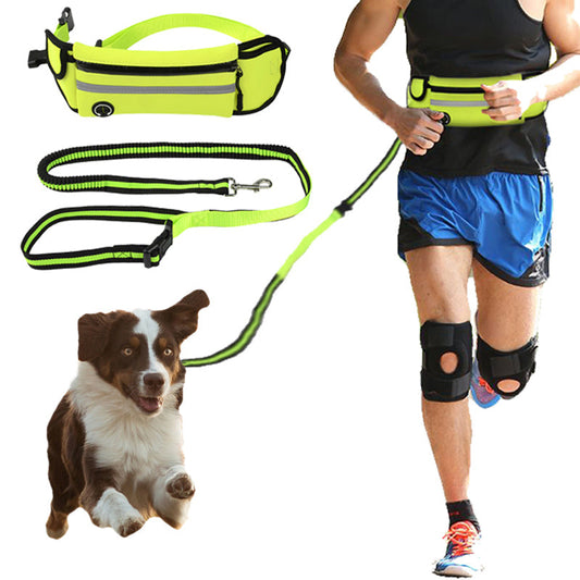 guinzaglio cani, passeggiata cani, accessori cani, hands free, premium