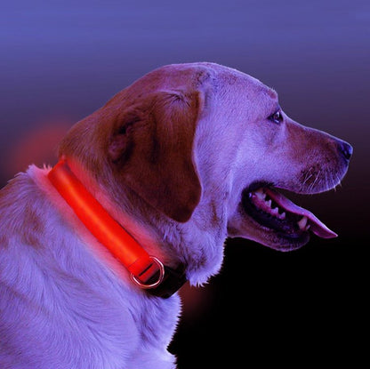 Collare Luminoso LED per Cani
