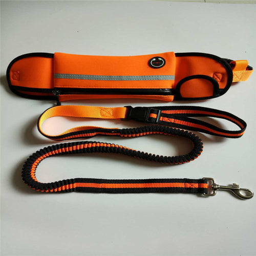 guinzaglio cani, passeggiata cani, accessori cani, hands free, premium