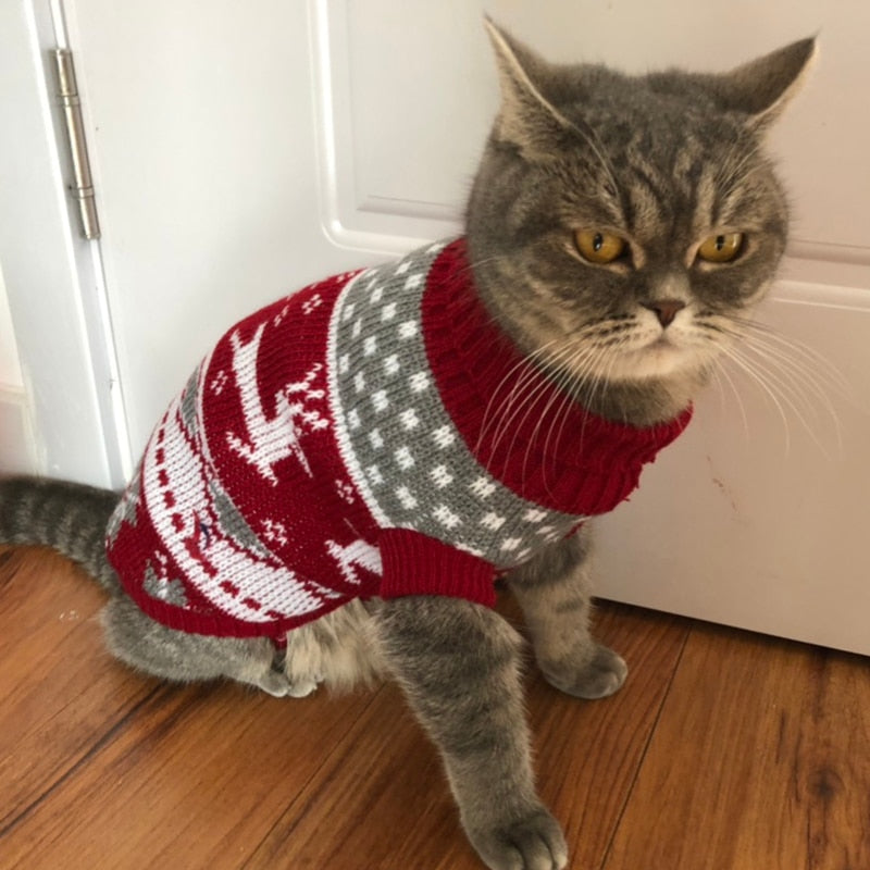Maglione Adorabile per Gatti – Abbigliamento Invernale Caldo