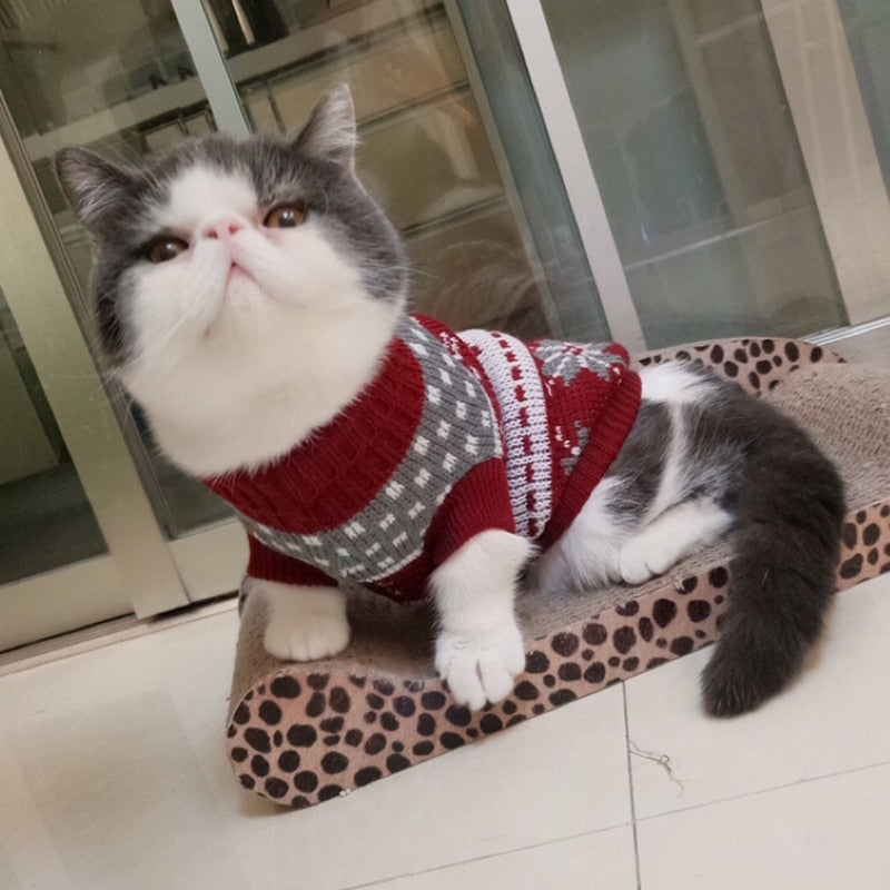 Maglione Adorabile per Gatti – Abbigliamento Invernale Caldo