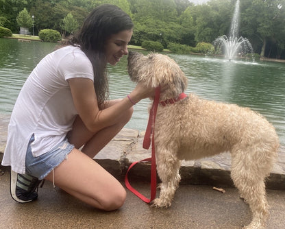 3 IN 1 COLLARE GUINZAGLIO PETTORINA