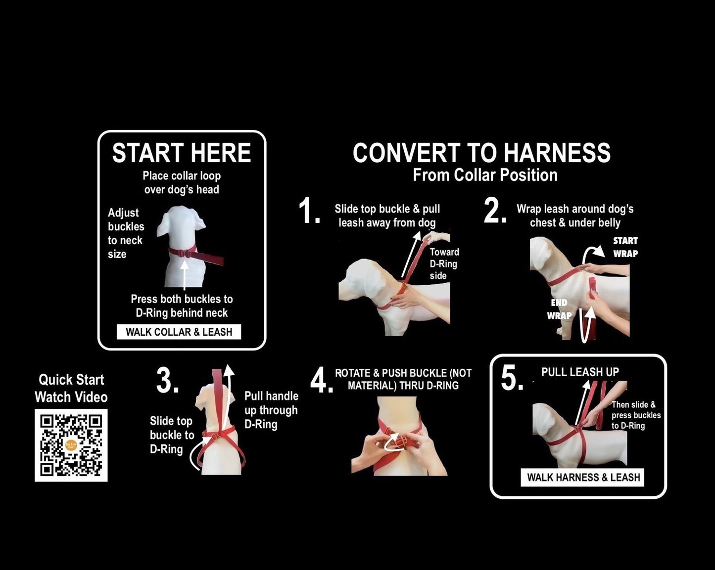 3 IN 1 COLLARE GUINZAGLIO PETTORINA