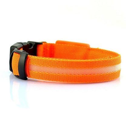 collari, cani, sicurezza, led, passeggiata notturna, accessori cani