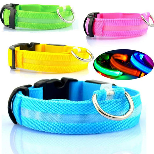 collari, cani, sicurezza, led, passeggiata notturna, accessori cani