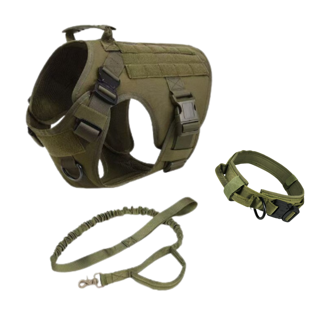 Pettorina Tattica Militare per Cani (Set Completo)