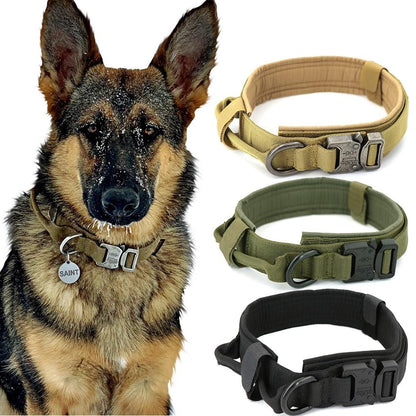 Collare Tattico Militare Resistente per Cani
