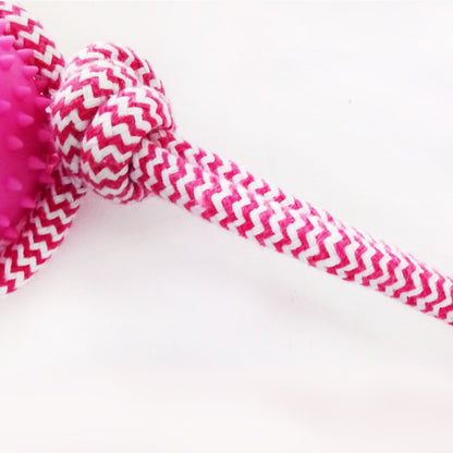 Giocattolo da Masticare in Gomma per Addestramento Cani