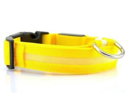 collari, cani, sicurezza, led, passeggiata notturna, accessori cani