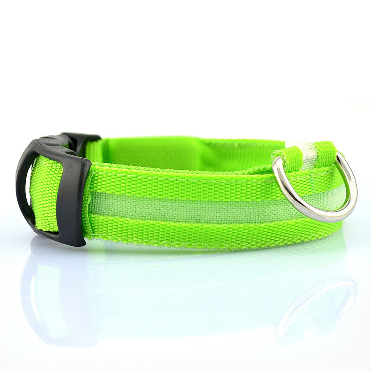 collari, cani, sicurezza, led, passeggiata notturna, accessori cani