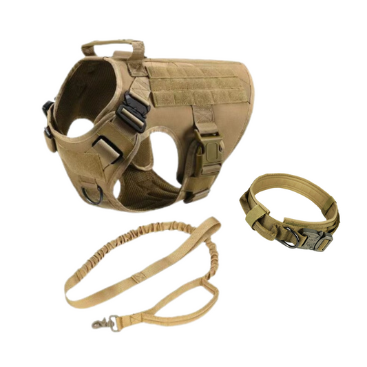 Pettorina Tattica Militare per Cani (Set Completo)